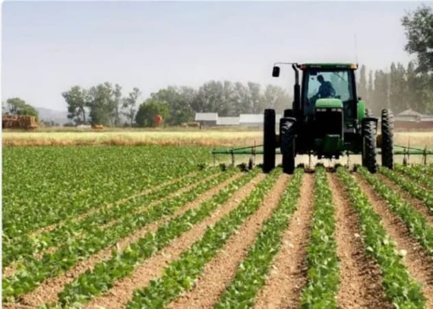 Chinese firm launches advanced agricultural spraying technology in Kano