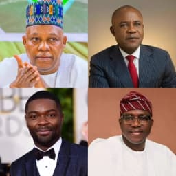 AFRIFF 2025: Herbert Wigwe Trailblazer Award to honour visionary African talents