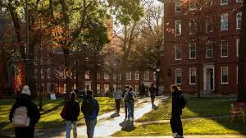 Fewer international students are enrolling at U.S. colleges, which could cost the country $1 billion, reports find