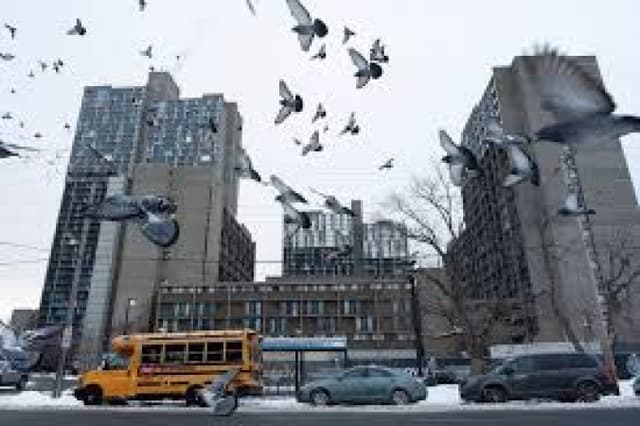 Anxiety grips Minneapolis’s Somali community as immigration agents zero in on the Twin Cities