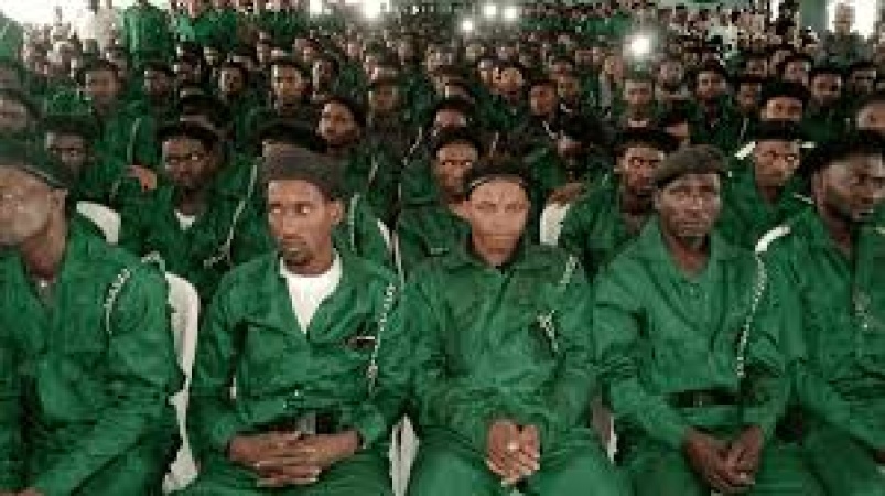 Plateau community denies Miyetti Allah’s claim of gunmen attack on herders