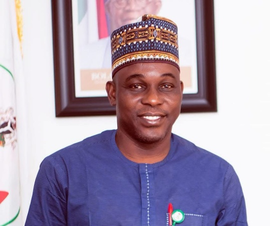 Over 70 kidnappers in correctional centre in Kwara, says LG chair