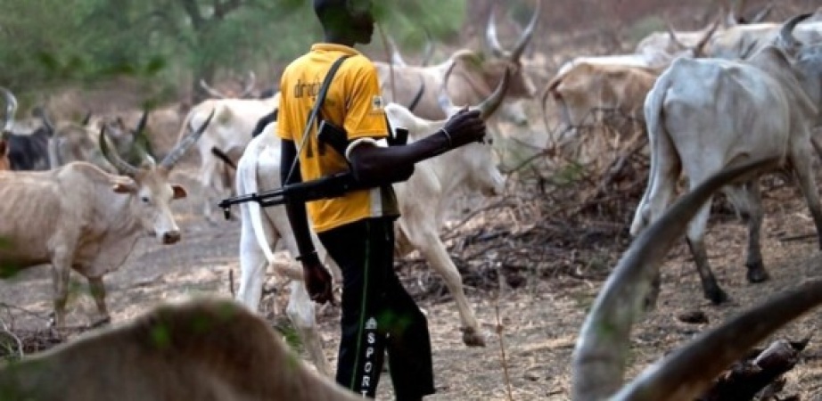 Four killed, women captured, tortured, another missing in fresh herders’ attacks on Benue communities