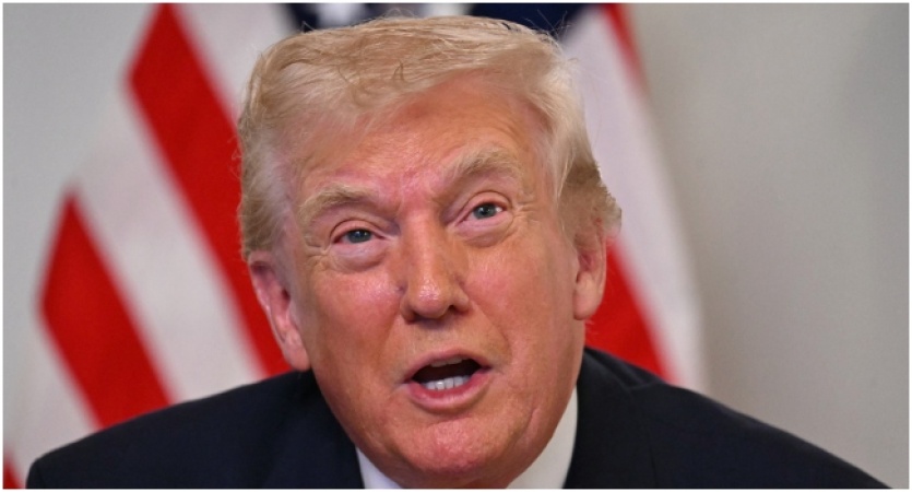 33.3 per cent of Nigerian families in US depend on government assistance — Trump