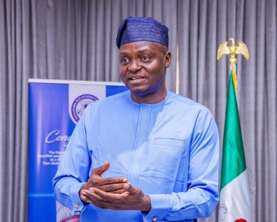 2027: Our strategies for Tinubu’s victory — APC National Chairman