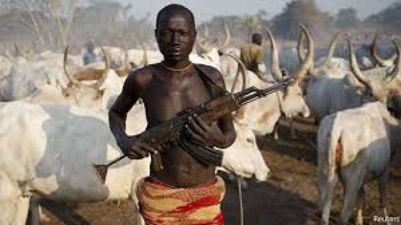 Pastor, one other killed as suspected herdsmen attack Benue communities