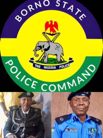 Two Assistant Commissioners of Police die in two days in Borno