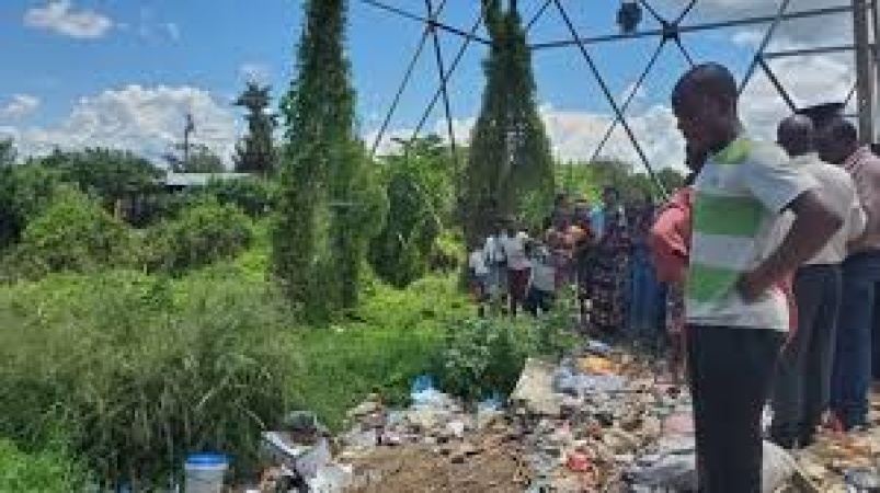 Aborted twins found in refuse dump