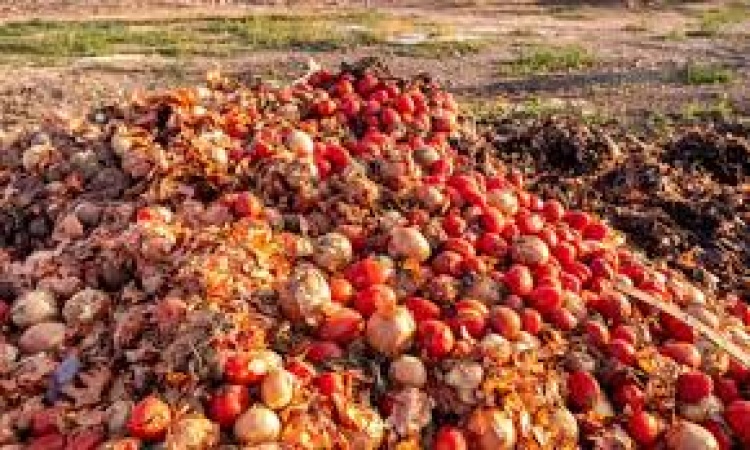 Nigeria wastes 38m tonnes of food annually, says EU