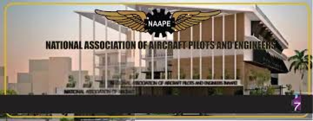 Pilots seek inclusive, innovative aviation industry