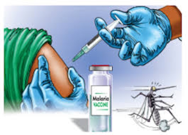 Medical Experts: Adaptive strategies essential to outwit vector, parasite in malaria control