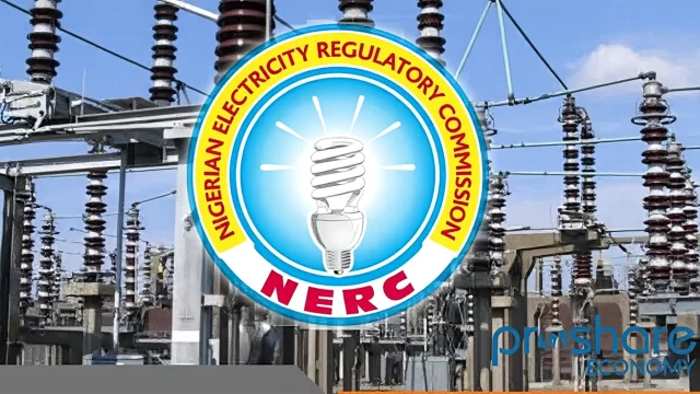Take complaints to your state electricity regulators, NERC tells consumers