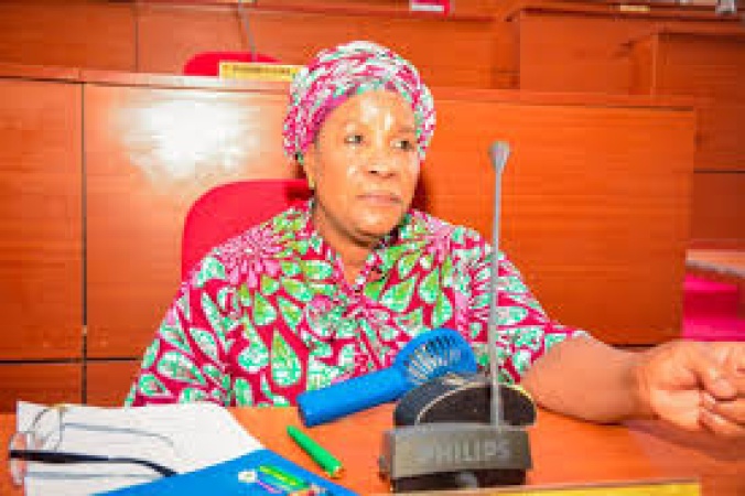 Deputy speaker, 15 other Niger Assembly lawmakers fail to secure APC return tickets