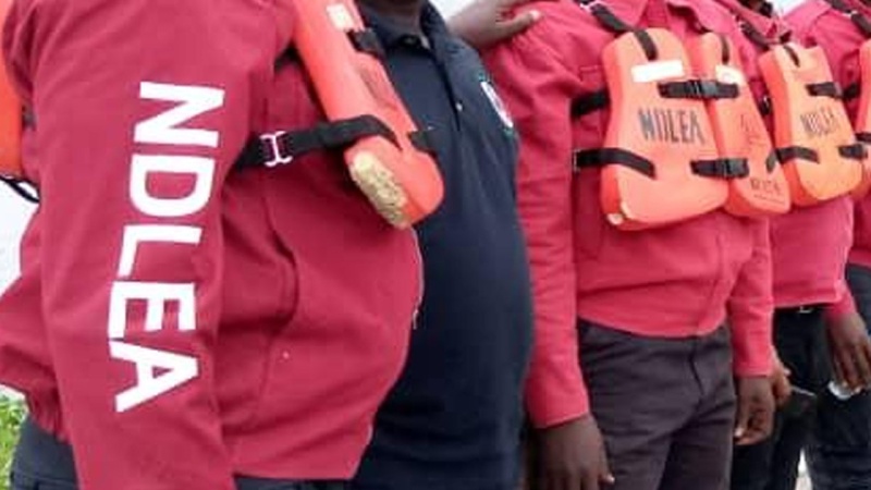 NDLEA raids drug hideouts in Kano, arrests 38 suspects