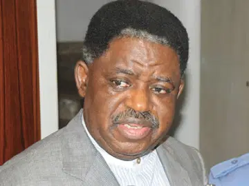 2027: Sam Egwu, Galadima, others included in NDC screening committee