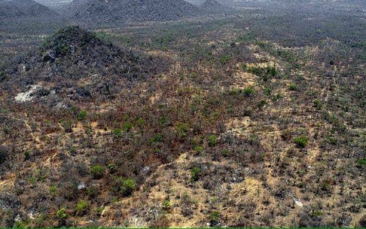Armed herdsmen have established ‘Sambisa Forest’ in Benue South — Kidnap victim
