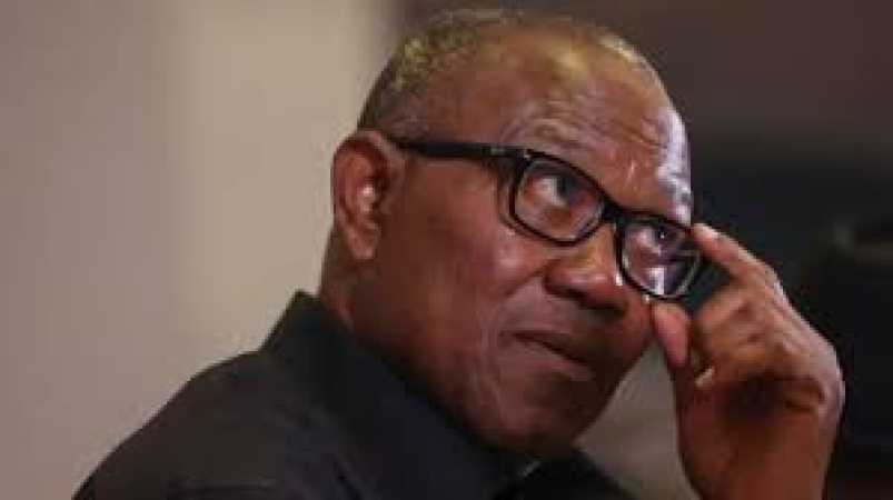 Why 'barking dogs' are not capturing Peter Obi's attention
