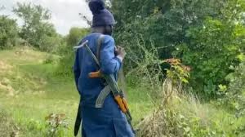 Fulani bandits kill two vigilantes in Plateau community