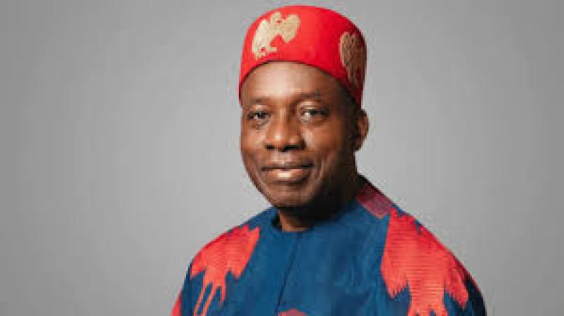 Soludo and the cow’s tail