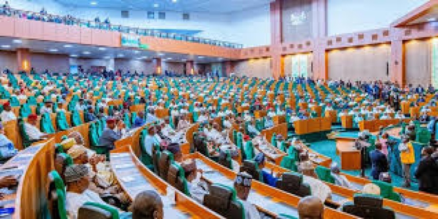 Reps suspend probe of NILDS DG over allegation of political participation