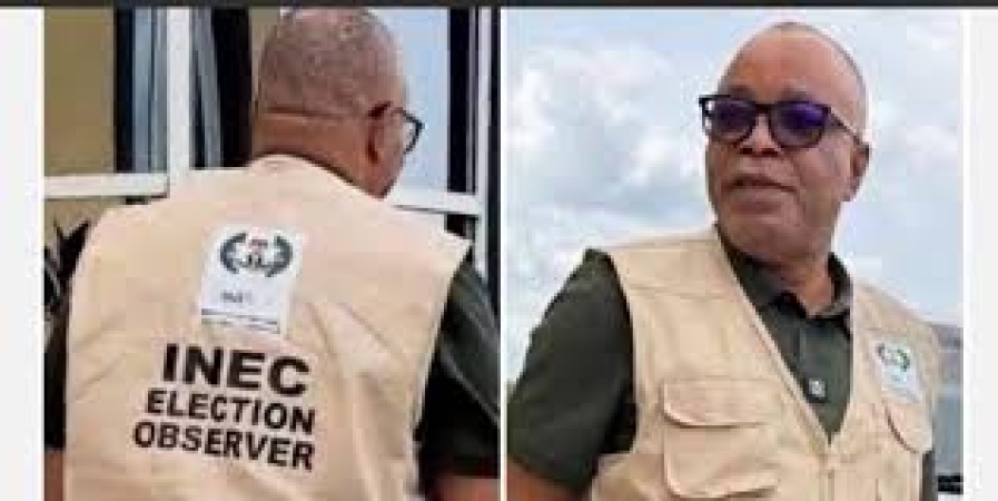 Ekiti Governorship: Controversy trails Edo APC chairman’s INEC observer role
