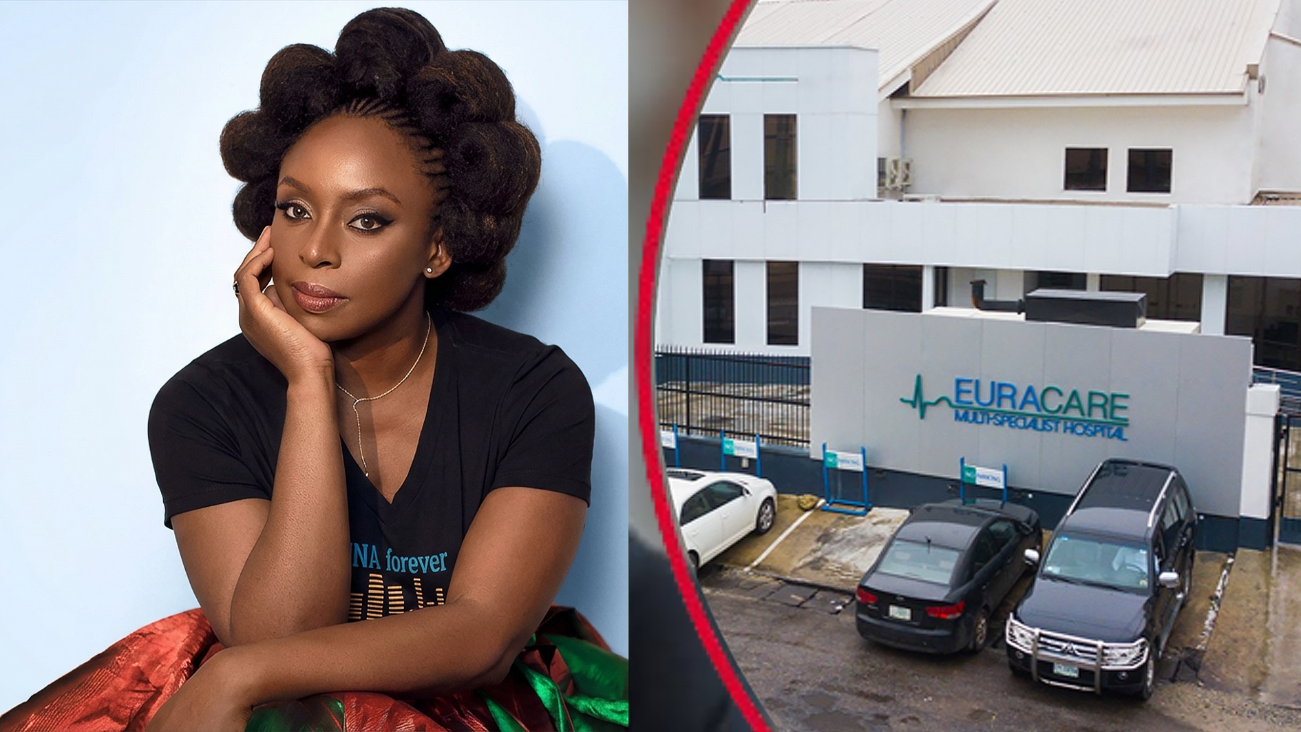 Lagos challenges suit against inquest into death of Chimamanda’s son