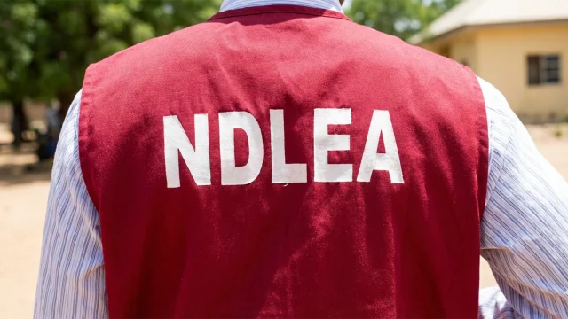 NDLEA lists motor parks as drug shipments flashpoints