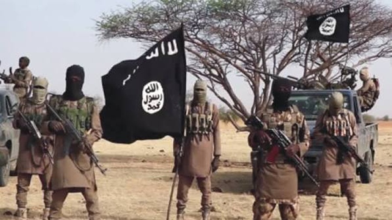 Suspected ISWAP gunboat operator surrenders to troops in Borno